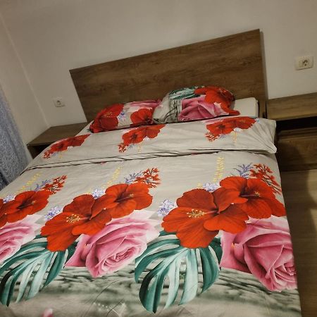 Appartamento Caci Črni Kal Esterno foto