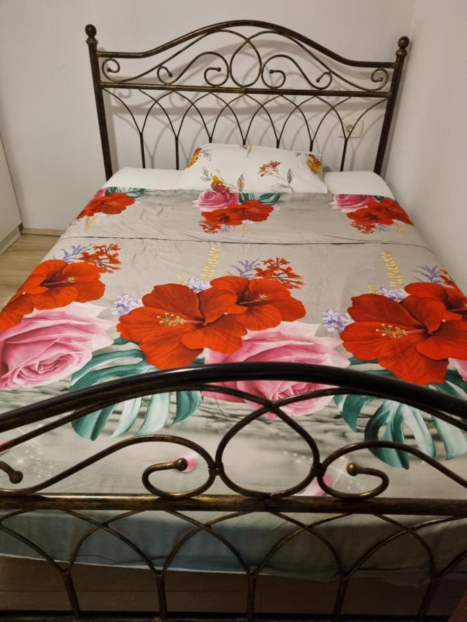 Appartamento Caci Črni Kal Esterno foto