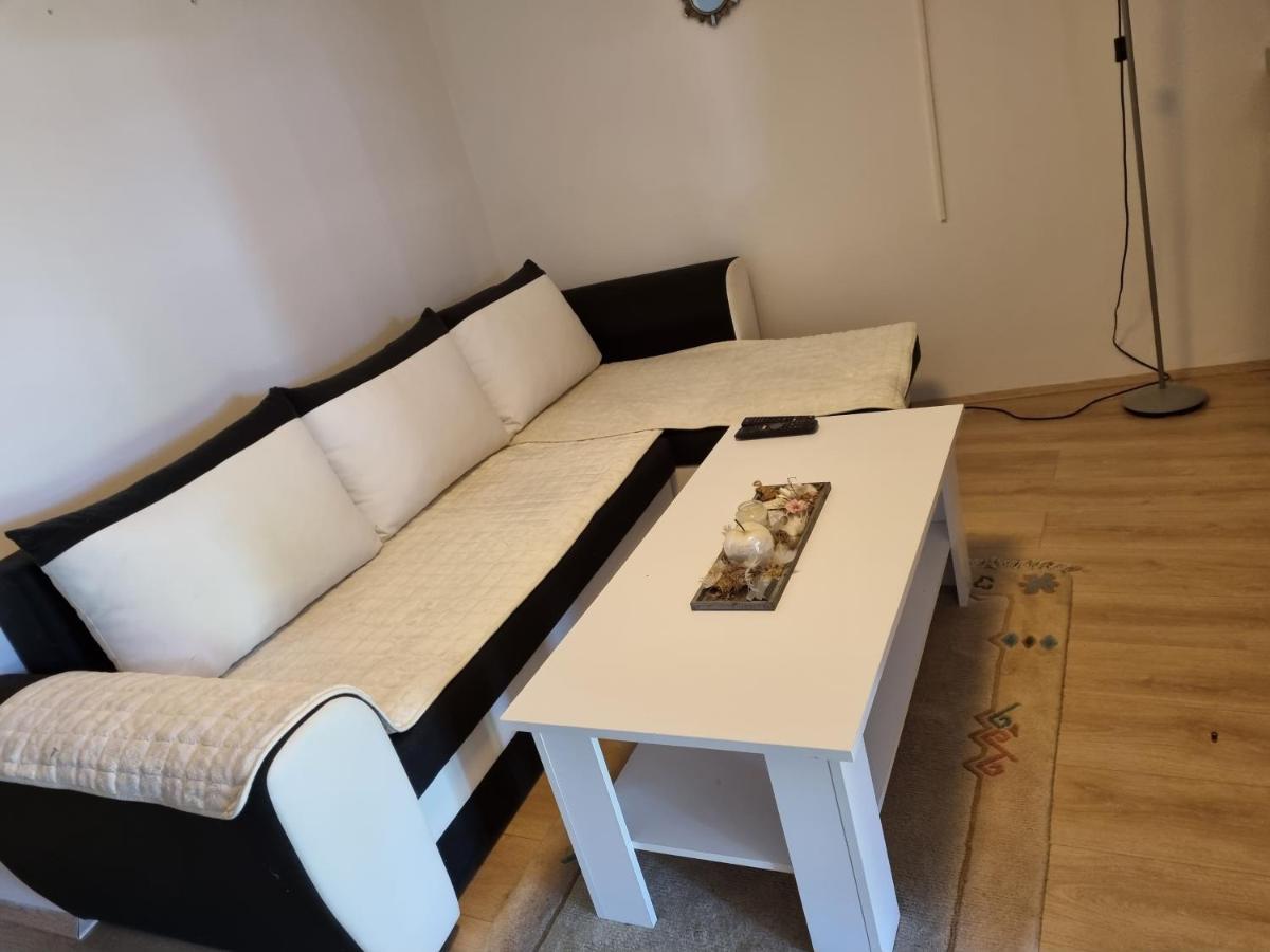 Appartamento Caci Črni Kal Esterno foto