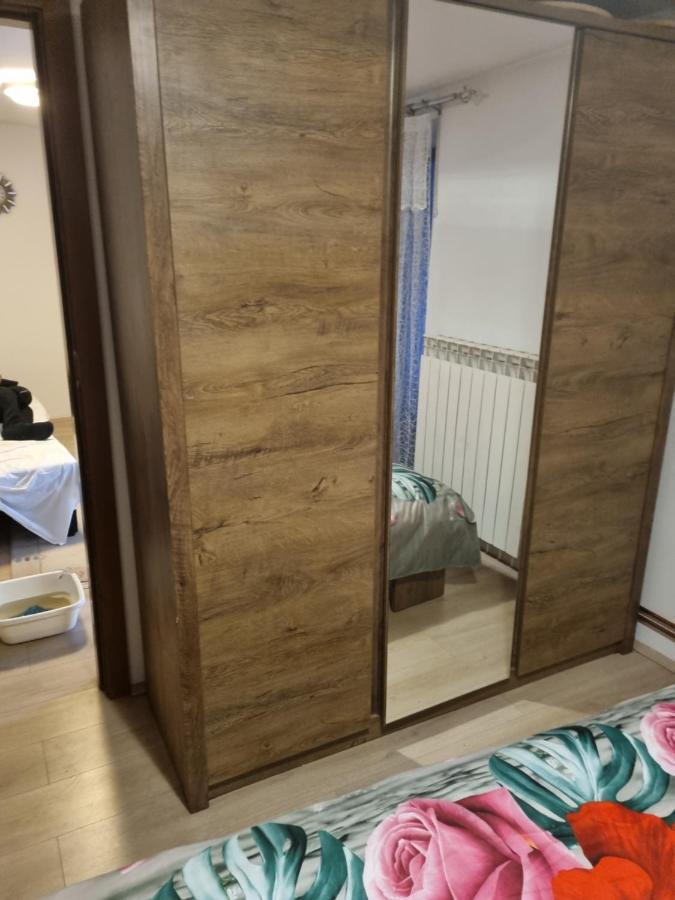Appartamento Caci Črni Kal Esterno foto